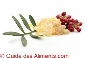 Mastic de Chios avec feuilles et fruits de pistachier lentisque (Pistacia lentiscus)