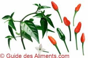 Piment Pequin