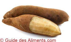 smallanthus sonchifolius (yacon)