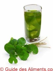 gotu kola