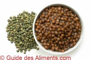 lentille verte du Puy cuite