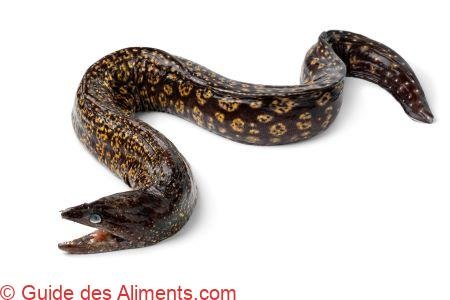 Murène - Guide des Aliments