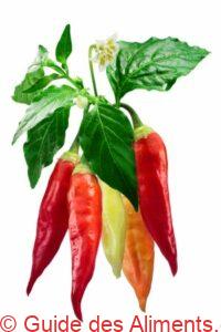 piment aji cristal
