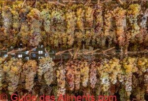 vin santo