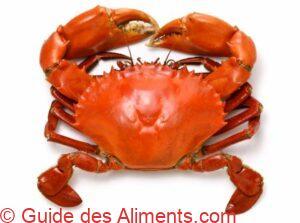 Crabe des pal&eacute;tuviers bouilli