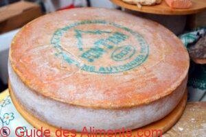 Fontina
