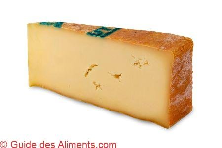 fontina