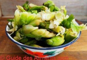 Waterblommetjies