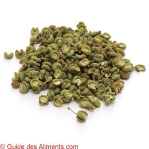 Zanthoxylum piperitum