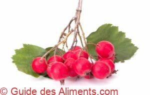 aubépine