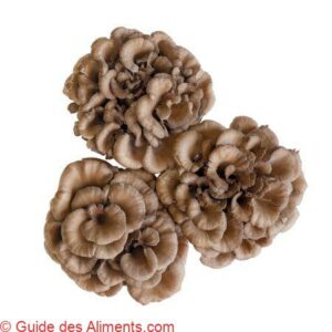 maitake ou Poule des bois