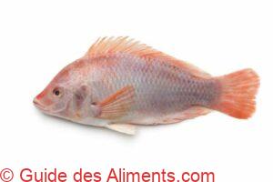 tilapia rouge