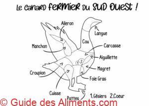 Canard pi&egrave;ces de viande, canard gras origine Sud Ouest, sch&eacute;ma d&eacute;coupe du canard en fran&ccedil;ais