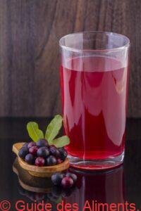Vaccinium meridionale, agraz ou myrtille andine