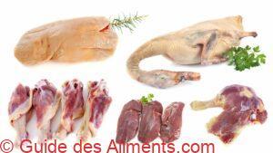 canard