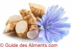 chicor&eacute;e &agrave; caf&eacute;