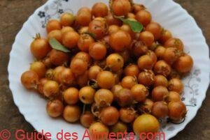 guabiroba do campo