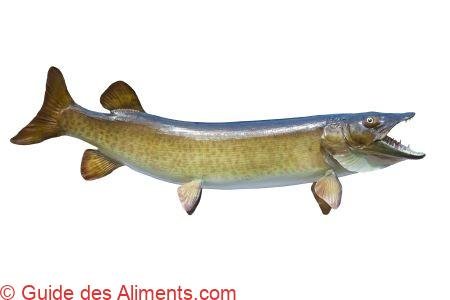 Maskinongé - Guide des Aliments