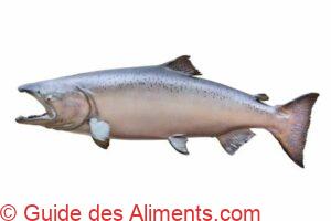 saumon royal m&acirc;le