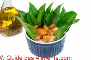 Pereskia aculeata, appelée au Brésil en salade ora-pro-nóbis