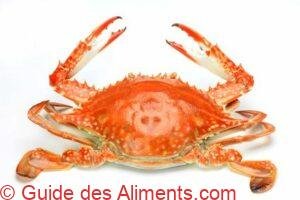 Steamed Blue Crab