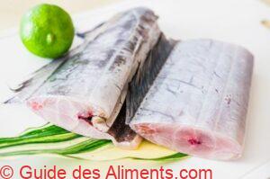 Trichiurus lepturus - sabre