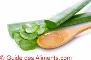 aloe vera