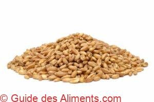 Amidonnier