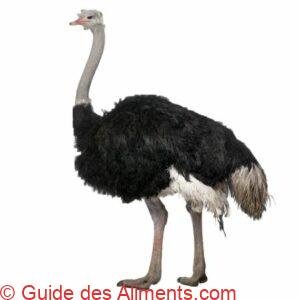 Autruche