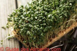 Cresson al&eacute;nois