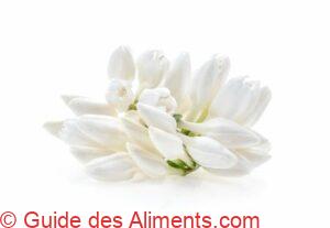 fleur de caf&eacute; fra&icirc;che