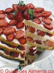 fraisier