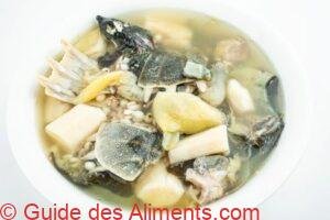 soupe de tortue