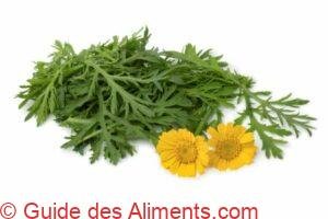 Chrysanth&egrave;me couronn&eacute;