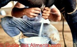 Lait de vache