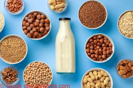 <a class="ingredient-link" data-ingredient-link-id="66" data-clicks="0" href="https://guidedesaliments.com/guide/lait-vegetal/" target="_blank" rel="nofollow sponsored">lait végétal</a>