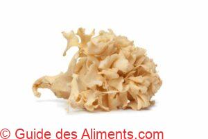 Sparassis cr&eacute;pu