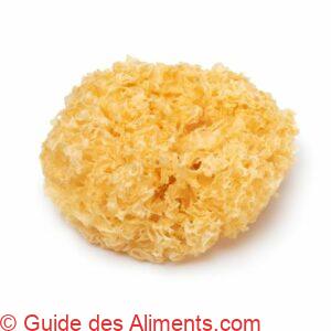Tremella fuciformis