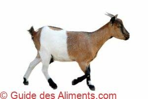 chèvre