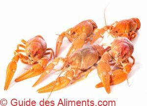 &Eacute;crevisse &agrave; pattes rouges