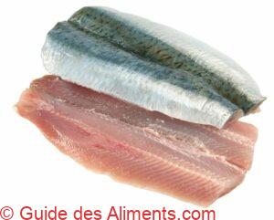 Filet de Sardine