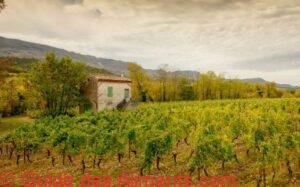Clairette de Die