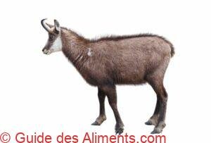 chamois