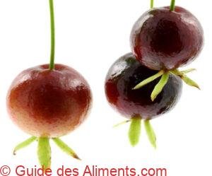 cerises du Brésil, eugenia brasiliensis