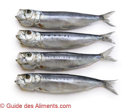 sardines