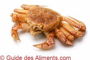 crabe poilu Erimacrus isenbeckii