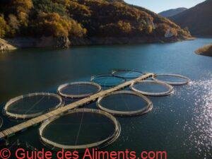 ferme piscicole &agrave; truites dans la rivi&egrave;re