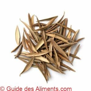 Feuilles d'olivier séchées