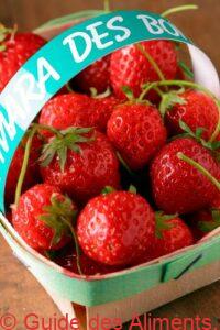 Fraise Mara des bois