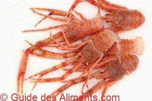 Galathées